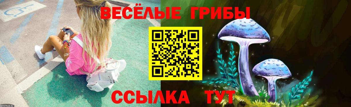 Галлюциногенные грибы Psilocybine cubensis  Псилоцибиновые грибы Psilocybe  Вход с VPN  Гай 